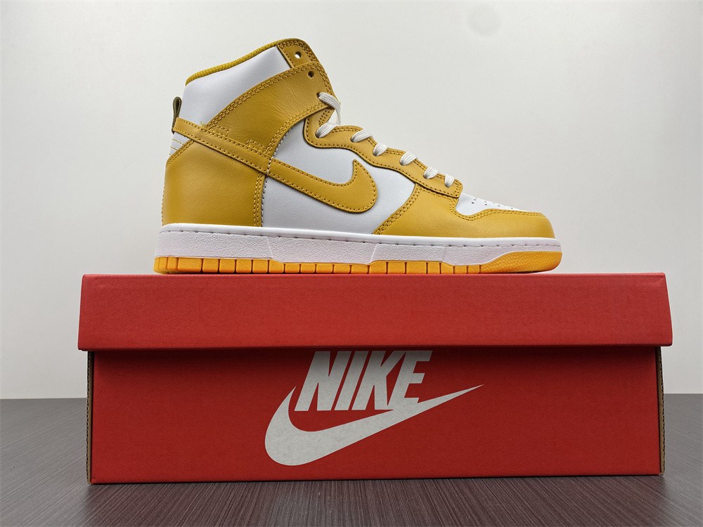 Nike Dunk High DD1869-106